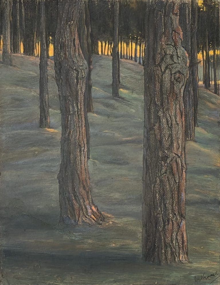 RuudvanderVeldenKunst kopie 4 RuudvanderVeldenKunst kopie 4