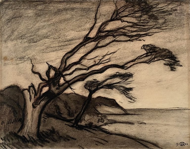 RuudvanderVeldenKunst kopie 5 RuudvanderVeldenKunst kopie 5