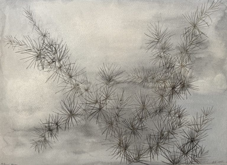 RuudvanderVeldenKunst:Alexandrine